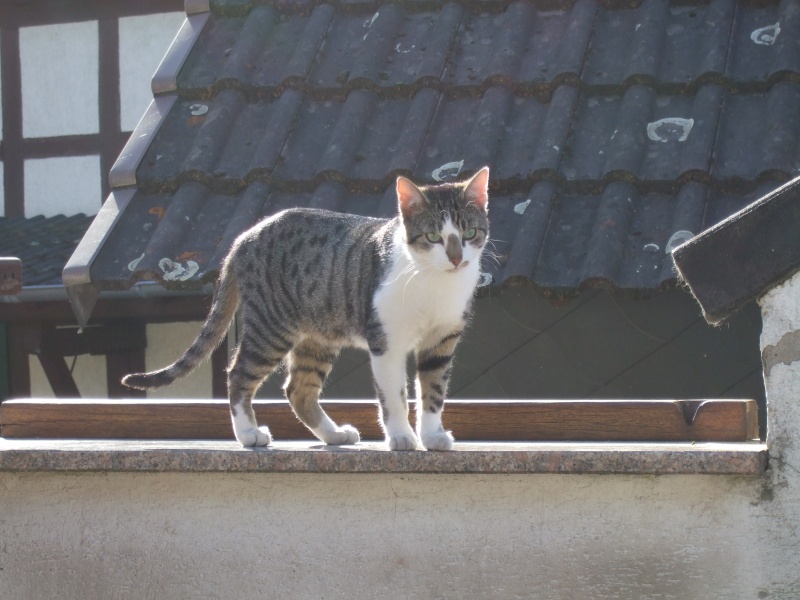 Ostern 2007 Orleshausen 063 